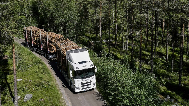 Eltimmerbil i skogen