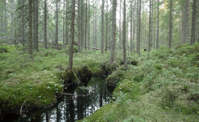 Vårt ansvar och krav