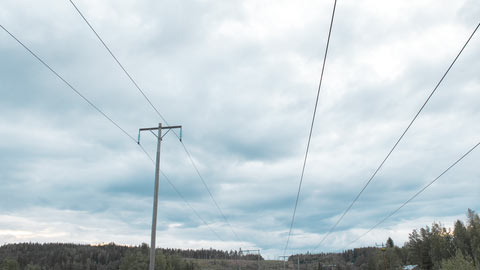 Elledningar över skogen